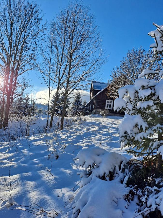 Chata Goralska Wojtasowka Kamesznica Eksteriør billede